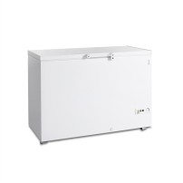 Zamrażarka skrzyniowa do lodów i produktów spożywczych