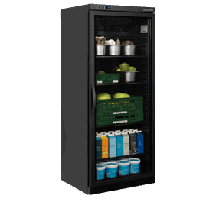  Tefcold UR600BG