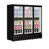  Tefcold Atom Maxi F3DB