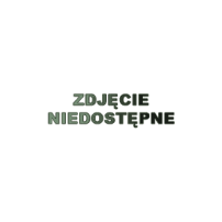 Frytownica elektryczna, ﻿800x700x900, REDFOX ﻿FE 70/80 E
