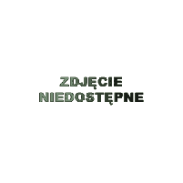 Płyta grillowa gazowa, 800x900x900, REDFOX FTHRC 90/80 G