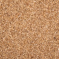 Granulat do polerek do sztućców | 1 kg Resto Quality RQ.CKP.01.021
