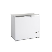 Zamrażarka skrzyniowa do lodów i produktów spożywczych, 984x700x945, Pojemność 273 litrów, Tefcold FR305S SL