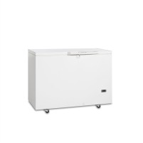 Zamrażarka niskotemperaturowa mrożąca do -45C, 1284x705x945, Pojemność 323 litrów, Tefcold SE30-45
