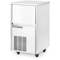 Kostkarka do lodu 28kg/24h Wariant podstawowy, Master Frost C-250 FA