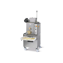 MASZYNA DO PRODUKCJI MAKARONU, 50KG/H, 660x1450x830, Bottene PM120