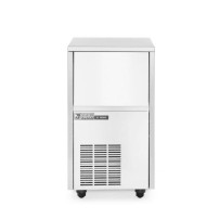 Kostkarka do lodu 25kg/24h Wariant podstawowy, Master Frost C-250