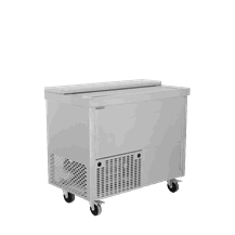 Zamrażarka skrzyniowa, Tefcold BHC100X1