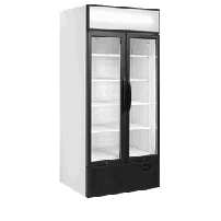 Witryna chłodnicza ekspozycyjna, Tefcold FSC891H