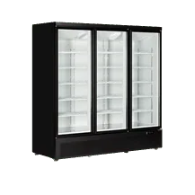 Zamrażarka ekspozycyjna, Tefcold Atom Maxi F3DB