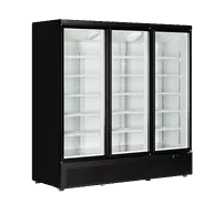 Zamrażarka ekspozycyjna, Tefcold Atom Maxi F3DB