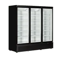 Zamrażarka ekspozycyjna, Tefcold Atom Maxi F3DB