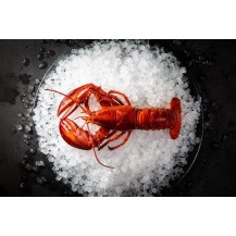 Łuskarka do lodu Hoshizaki RESTO QUALITY FM-150AKE-HC-SB | 150 kg/24h | chłodzona powietrzem | płatki lodu