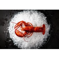 Łuskarka do lodu Hoshizaki RESTO QUALITY FM-1800ALKE-R452-SB | 1800 kg/24h | chłodzona powietrzem | płatki lodu
