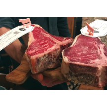 Szafa do sezonowania Klima Meat EASY 500 | ZERNIKE | KME500PVB